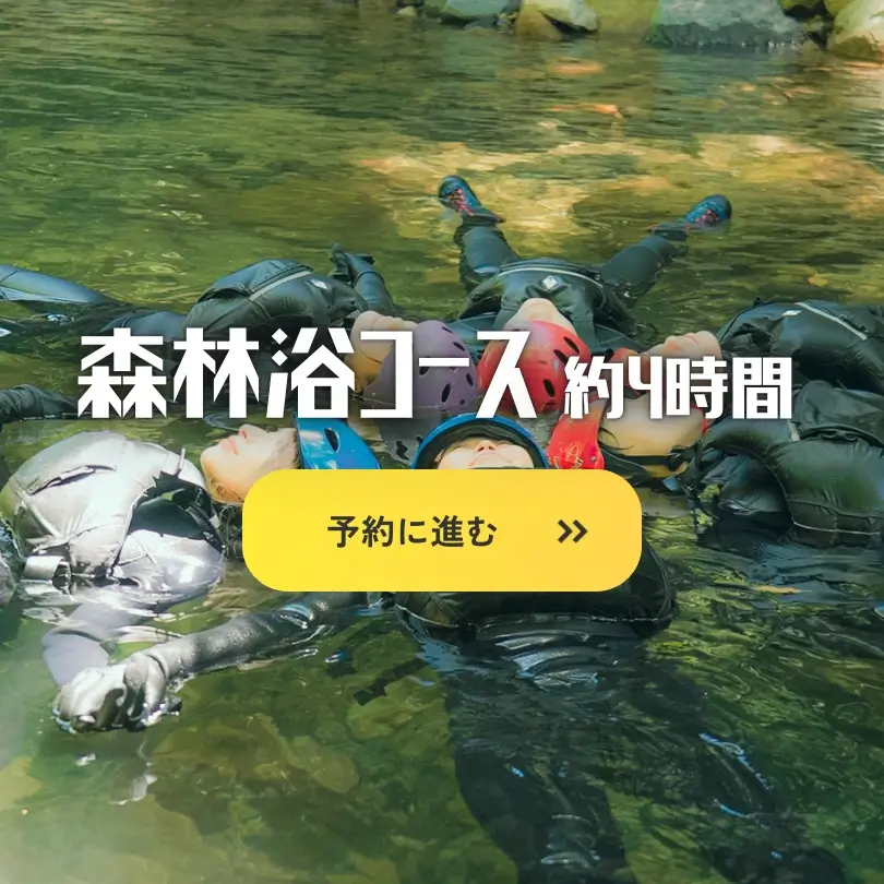 森林浴コース_奥湯来・シャワークライミング×森の再生プロジェクト