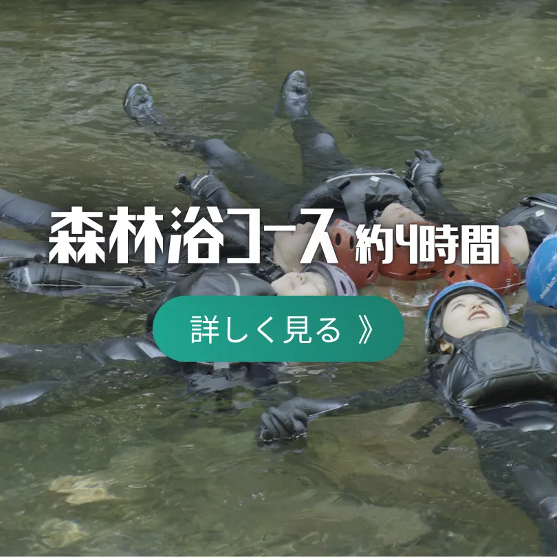 森林コースイメージ01_奥湯来・シャワークライミング×森の再生プロジェクト