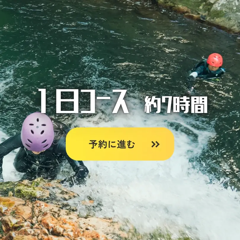 1日コース_奥湯来・シャワークライミング×森の再生プロジェクト