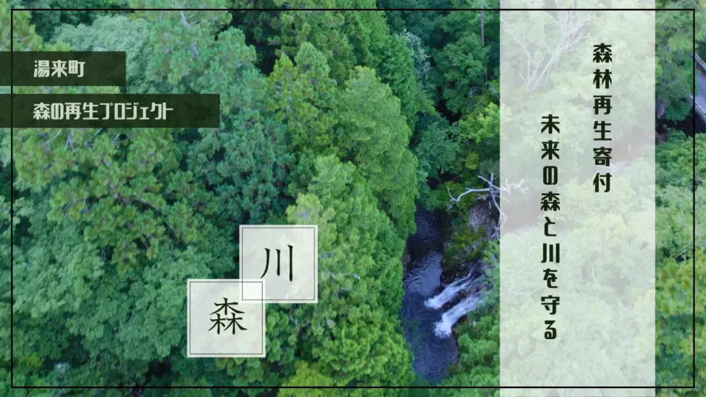 奥湯来・シャワークライミング_森林再生プロジェクト