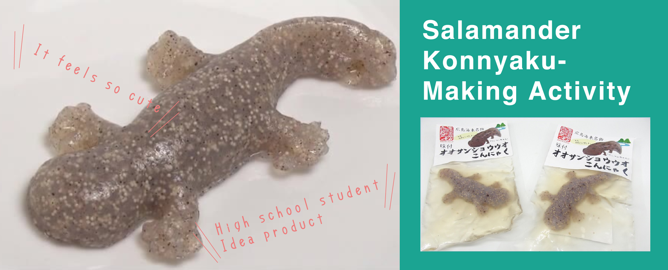 Salamander Konnyaku- Making Activity