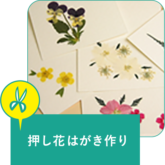 押し花はがき作り